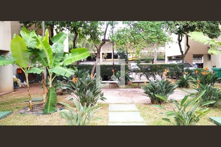 Apartamento para alugar com 55m², 2 quartos e 1 vaga Apartamento para alugar com 55m², 2 quartos e 1 vagaJardim