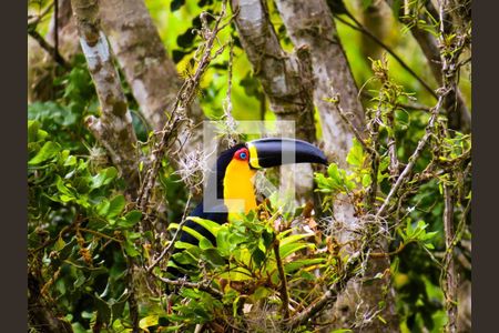 Vista de casa para alugar com 4 quartos, 180m² em Lagoa da Conceição, Florianópolis