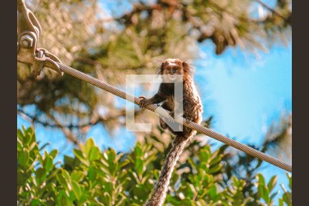 Vista de casa para alugar com 4 quartos, 180m² em Lagoa da Conceição, Florianópolis