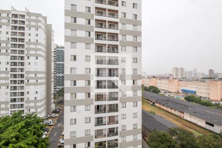Vista do Quarto 1 de apartamento à venda com 3 quartos, 68m² em Continental, Osasco