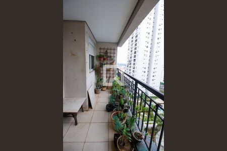 Varanda da Sala de apartamento à venda com 3 quartos, 70m² em Vila Suzana, São Paulo