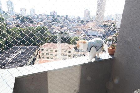 Sacada de apartamento à venda com 2 quartos, 62m² em Vila Capitão Rabelo, Guarulhos