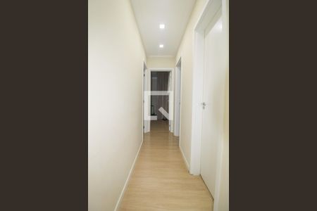 Corredor  de apartamento para alugar com 3 quartos, 74m² em Jardim Chapadão, Campinas