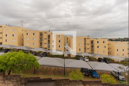Vista do Quarto 1 de apartamento para alugar com 2 quartos, 50m² em Jardim Andorinhas, Campinas