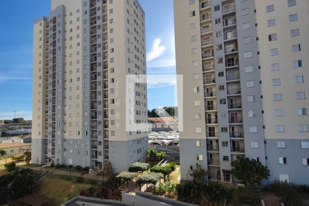Vista da Varanda  de apartamento para alugar com 2 quartos, 49m² em Vila Mimosa, Campinas