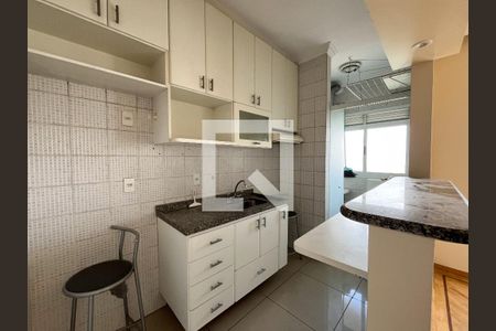 Cozinha de apartamento para alugar com 1 quarto, 55m² em Vila Guarani (zona Sul), São Paulo