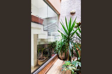 Jardim de Inverno de casa à venda com 3 quartos, 180m² em Vila Floresta, Santo André