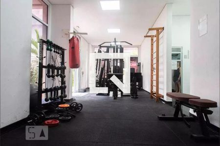 Área comum - Academia de apartamento para alugar com 2 quartos, 84m² em Vila Dom Pedro I, São Paulo