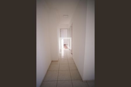 Corredor de apartamento para alugar com 2 quartos, 48m² em Jardim Guanabara, Belo Horizonte