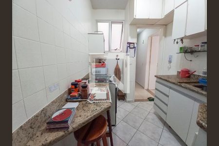 Cozinha  de apartamento à venda com 3 quartos, 90m² em Santo Antônio, Belo Horizonte