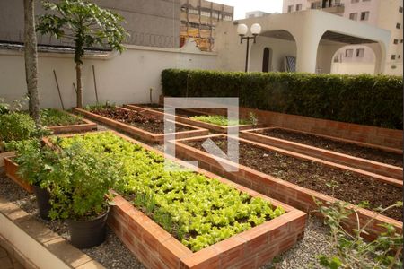 Apartamento à venda com 75m², 3 quartos e 1 vaga Apartamento à venda com 75m², 3 quartos e 1 vagaÁrea comum - Horta comunitária