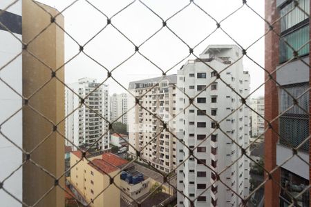 Vista de apartamento para alugar com 3 quartos, 94m² em Indianópolis, São Paulo
