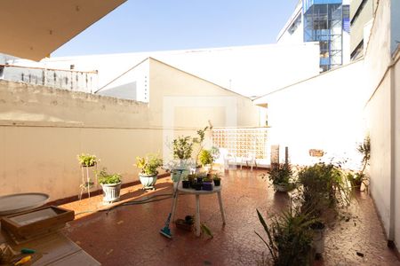 Quintal  de casa para alugar com 3 quartos, 287m² em Jardim Novo Mundo, São Paulo