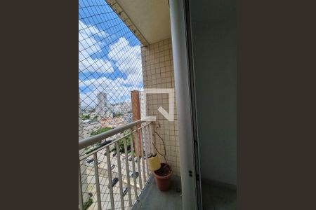 Apartamento à venda com 3 quartos, 64m² em Cambuci, São Paulo