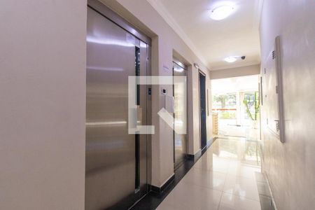 Hall/Elevadores de apartamento para alugar com 2 quartos, 50m² em Cristo Rei, Curitiba