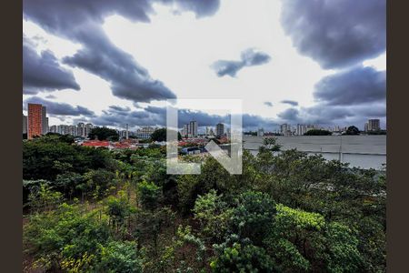 Apartamento para alugar com 137m², 3 quartos e 2 vagasVista Suíte 1