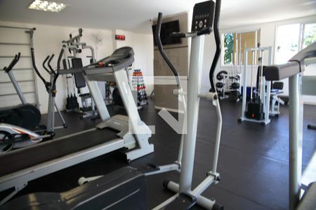 Apartamento para alugar com 54m², 2 quartos e 1 vagaÁrea comum - Academia