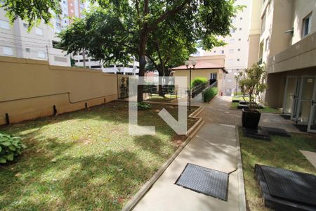 Apartamento para alugar com 50m², 2 quartos e 1 vagaÁrea Comum