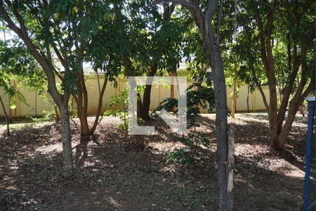 Apartamento para alugar com 50m², 1 quarto e 1 vagaÁrea comum - Playground