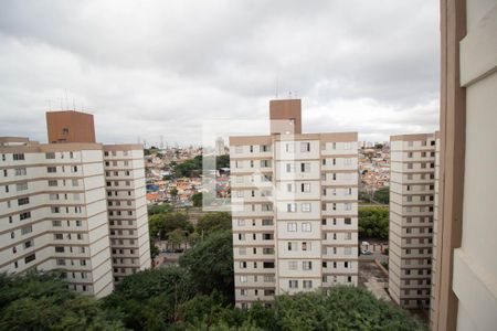 Vista da Sala de apartamento à venda com 2 quartos, 58m² em Jardim Iris, São Paulo