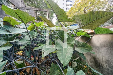 Casa de condomínio à venda com 250m², 2 quartos e sem vaga Casa de condomínio à venda com 250m², 2 quartos e sem vagaVista do quarto 02