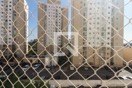 Vista Varanda  de apartamento para alugar com 3 quartos, 63m² em Vila Moreira, São Paulo