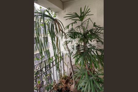 Apartamento à venda com 80m², 2 quartos e 2 vagas