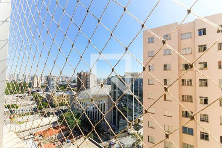 Vista Da Sala de apartamento para alugar com 2 quartos, 48m² em Belenzinho, São Paulo