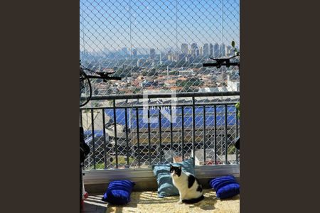 Apartamento à venda com 3 quartos, 66m² em Instituto de Previdencia, São Paulo