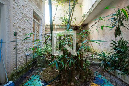 Apartamento para alugar com 140m², 1 quarto e sem vagaQuintal 2