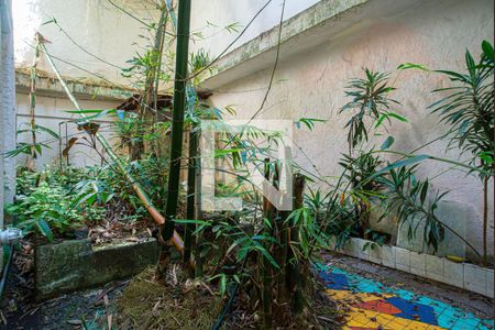 Apartamento para alugar com 140m², 1 quarto e sem vagaQuintal 2