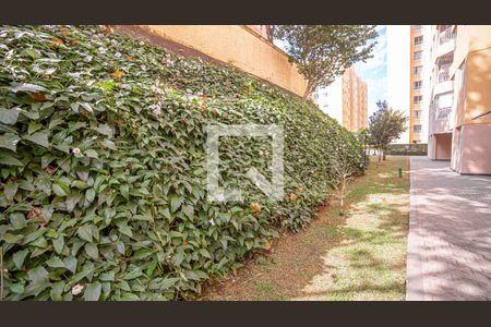 Apartamento à venda com 64m², 3 quartos e 1 vagaÁrea comum