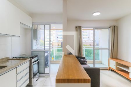 Sala de apartamento para alugar com 2 quartos, 48m² em Santo Amaro, São Paulo