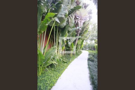 Apartamento para alugar com 47m², 1 quarto e 1 vagaÁrea comum-Externa