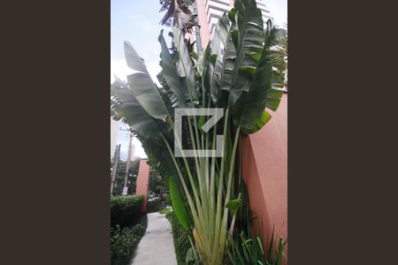 Apartamento para alugar com 47m², 1 quarto e 1 vagaÁrea comum-Externa