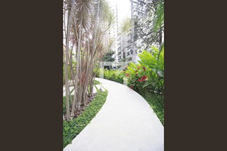 Apartamento para alugar com 47m², 1 quarto e 1 vagaÁrea comum-Externa