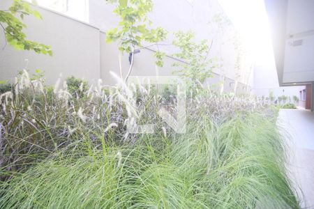 Apartamento para alugar com 31m², 1 quarto e sem vagaArea Verde