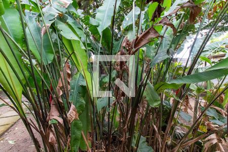 Casa à venda com 500m², 3 quartos e 3 vagas Casa à venda com 500m², 3 quartos e 3 vagasÁrea externa