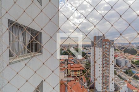Vista Quarto 1 de apartamento para alugar com 2 quartos, 49m² em Vila Santana, São Paulo