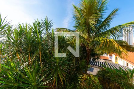 Casa à venda com 359m², 3 quartos e 4 vagasVista do Quarto 1