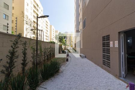Apartamento para alugar com 38m², 2 quartos e sem vagaÁrea comum - Pet Place