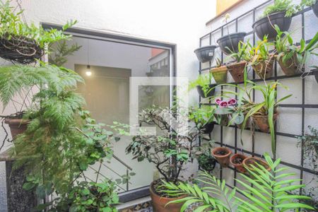 Casa à venda com 125m², 3 quartos e 2 vagasJardim de inverno