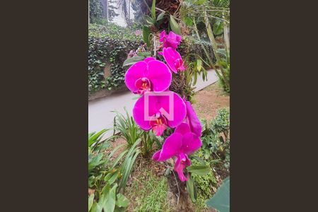 Apartamento à venda com 64m², 2 quartos e 1 vagaJardim