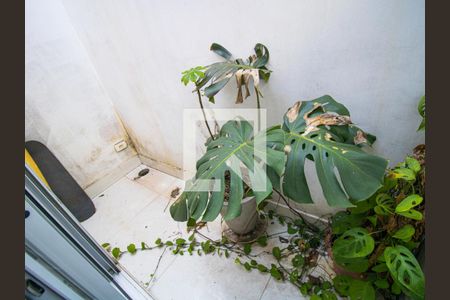 Casa à venda com 300m², 3 quartos e 2 vagasSacada da Suíte 2