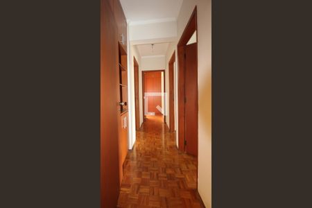 Corredor de apartamento para alugar com 3 quartos, 120m² em Chácara da Barra, Campinas