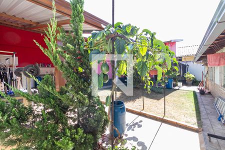 Casa à venda com 297m², 4 quartos e 3 vagasQuintal