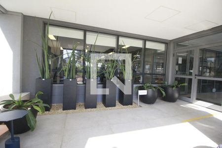 Apartamento para alugar com 23m², 1 quarto e sem vagaSolarium