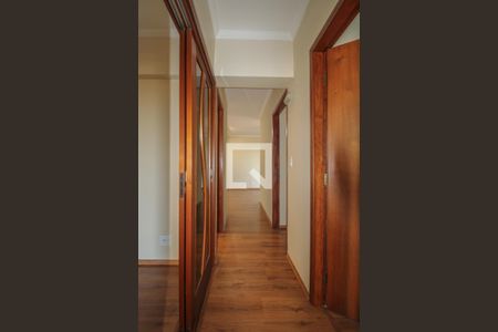 Corredor  de apartamento para alugar com 3 quartos, 110m² em Jardim das Paineiras, Campinas