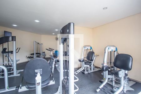 Apartamento para alugar com 54m², 2 quartos e 1 vaga Apartamento para alugar com 54m², 2 quartos e 1 vagaÁrea comum - Academia