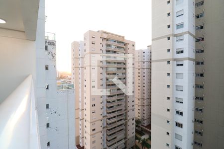 Vista de apartamento para alugar com 1 quarto, 45m² em Várzea da Barra Funda, São Paulo
